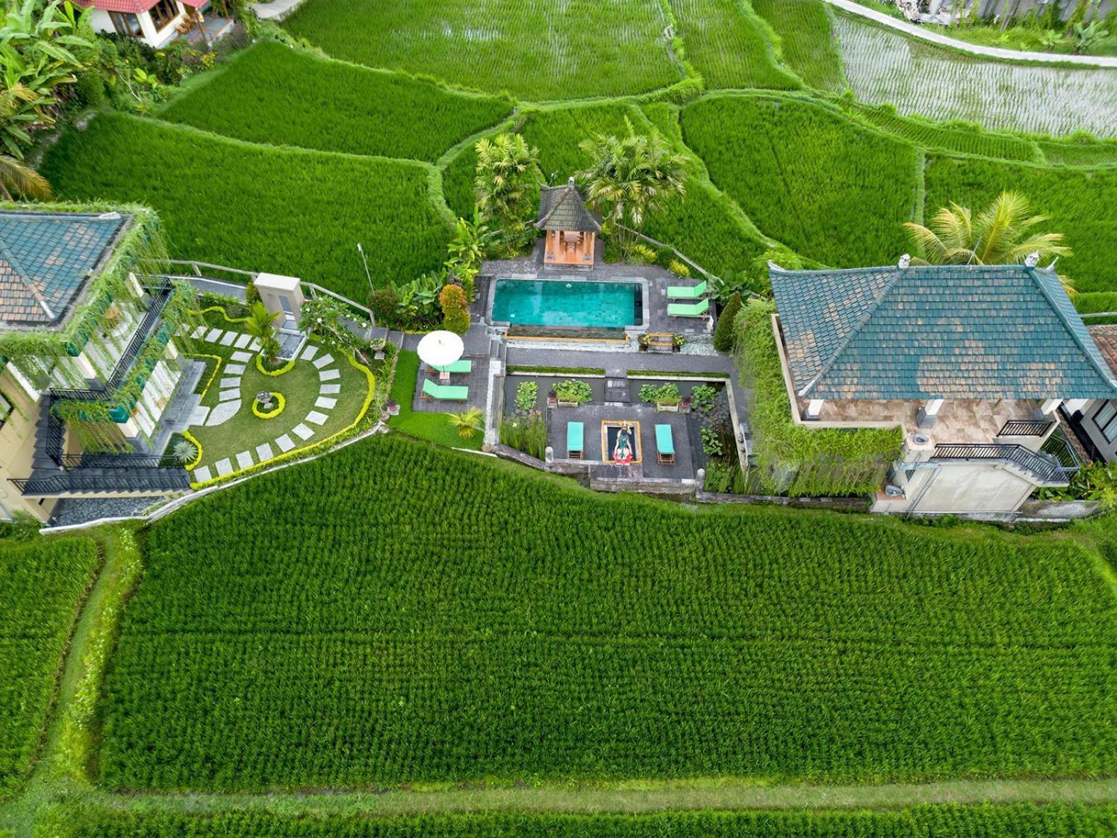 Cahaya Ubud Villa Luaran gambar